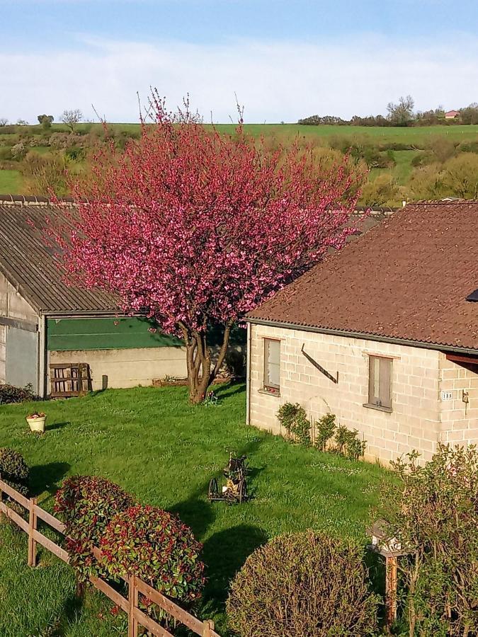 Rouvroy Gite A La Ferme מראה חיצוני תמונה