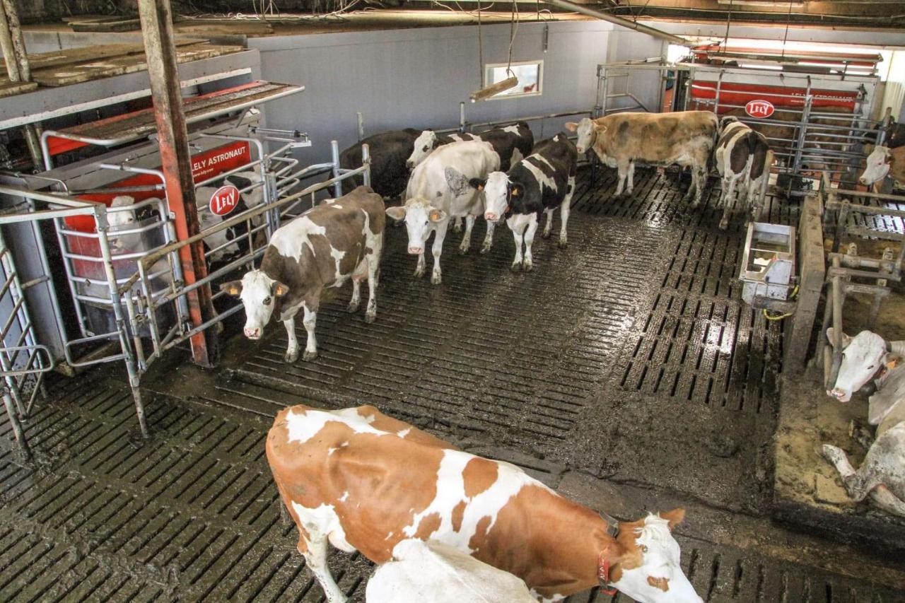 Rouvroy Gite A La Ferme מראה חיצוני תמונה